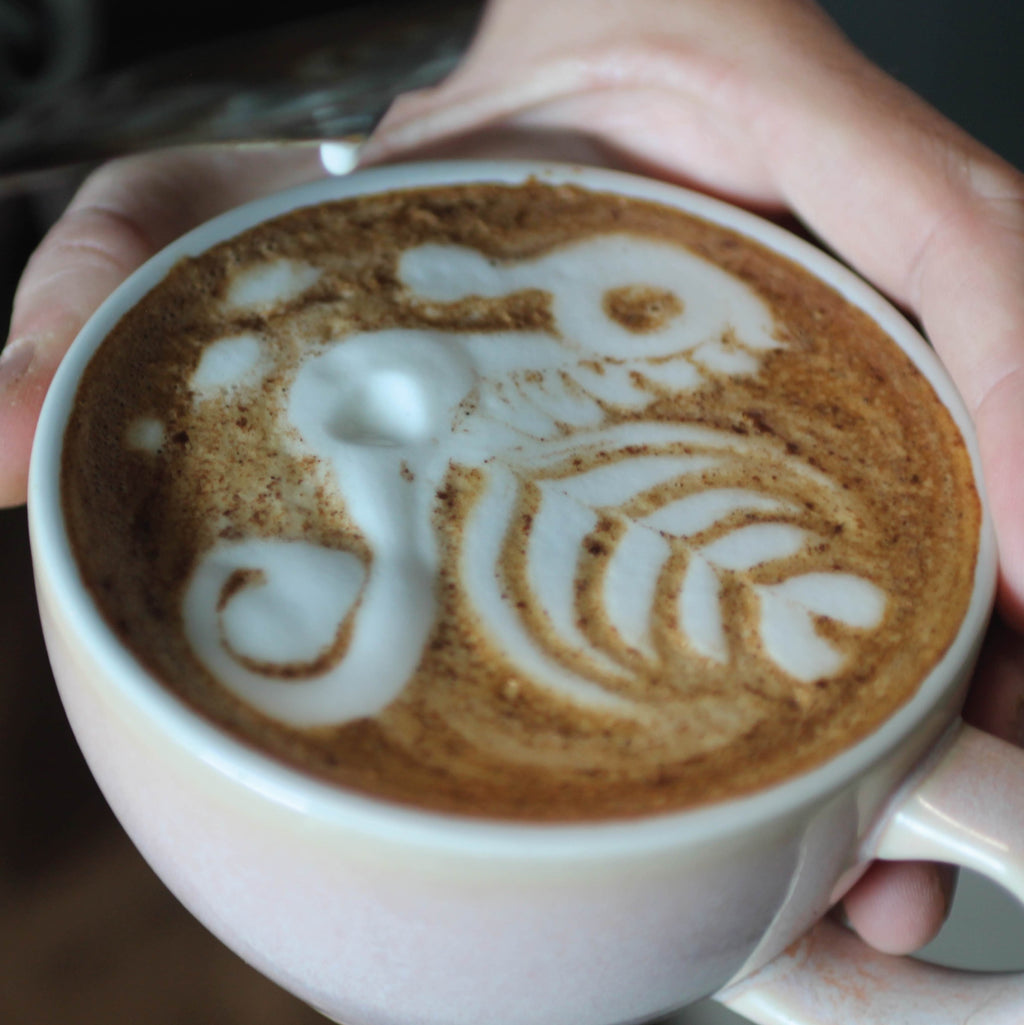 Barista & Latte Art Training